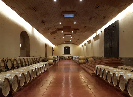 Viña Concha y Toro Santa Rosa